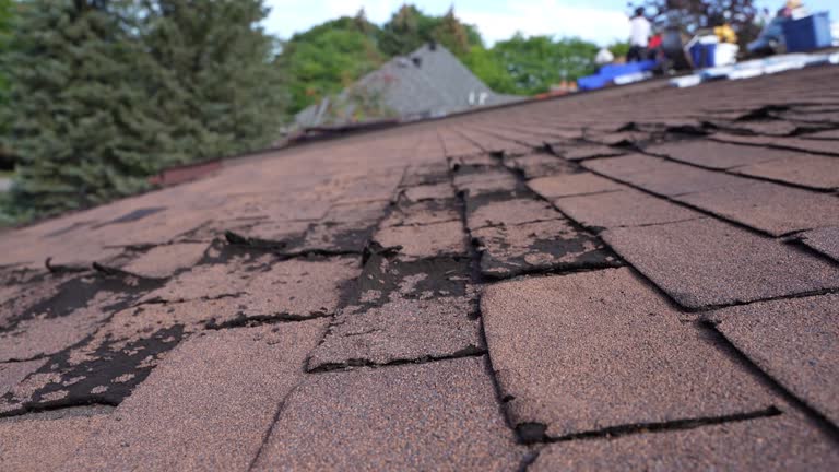 Best Skylight Installation and Repair  in South Toms River, NJ